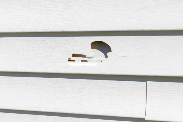 Affordable Siding Repair and Maintenance Services in Kennedale, TX